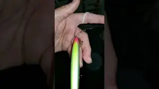 Spin ile iri lüfer avı ve dikkatsizlik!