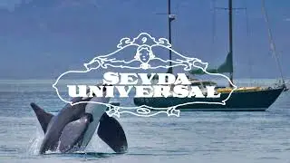 Max.95 - Sergio Mendes