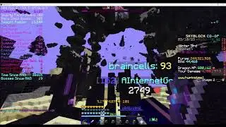 dmg test =profit
