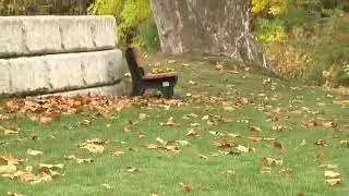 Commercial Outdoor Furniture | Polly Products Testimonial | Portland, MI Client