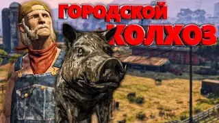 ГОРОДСКОЙ КОЛХОЗ в GTA RP 🐗 КАБАН СУЕТОЛОГ на MAJESTIC RP