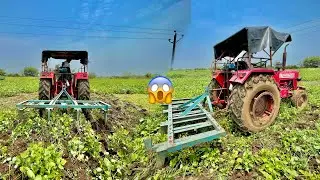 आखिरकार क्यों मूंग में कल्टीवेटर चलाना पड़ा 😱 || Mahindra 585 working with 7 tines cultivator