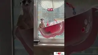 Девочки, я всё поняла! 