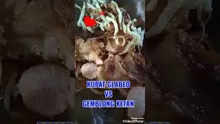 KUPAT GLABED VS GEMBLONG KETAN