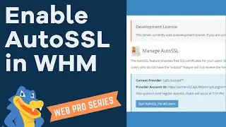 How to Install SSL in WHM - HostGator Tutorial