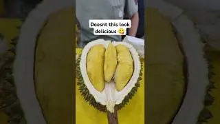 Durian Buffet in Malaysia #foodvlog