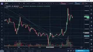 TRX/BTC (Tron) Time to Buy More?