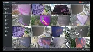 amedia отчеты