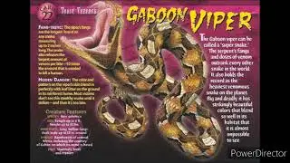 gaboon viper sound effects