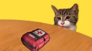 Left 4 Dead Cat 7
