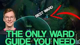 WARD GUIDE SEASON 13 [ALL ROLES] | Treatz