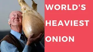 20 Weridest World Records You Didn't Know Before - Part 2