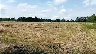 В деревне, один день - год кормит🌾