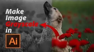 How to Make an Image Grayscale in Illustrator