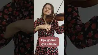 При долині кущ калини. Українська народна пісня + НОТИ