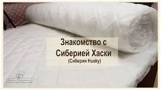 Знакомство с сиберией хаски. Еще один утеплитель нашего ассортимента.