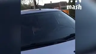 На Ставрополье парни на машине наехали на полицейских