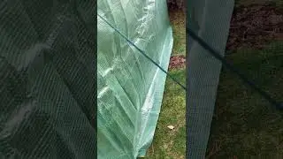 Greenhouse to keep plants  tad warmer