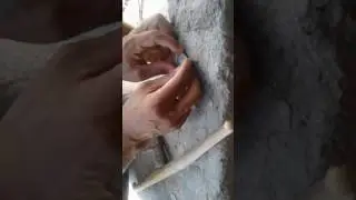 Moeda de 1 Real desmonta