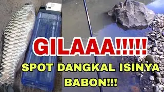 |||SPOT SEJENGKAL||| ISINYA BABON SEMUA !!! || MICROFISHING ||