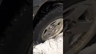 На съёмку времени почти не было, очень насыщенный денёк вышел #заготовкадров #жизньвдеревне #лес