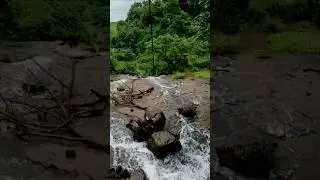 Beautiful Nature Lonavala / #shorts / vaishali mukesh