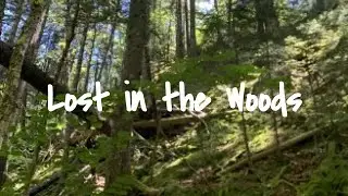 Froshly - Lost in the Woods (Official Music Video)