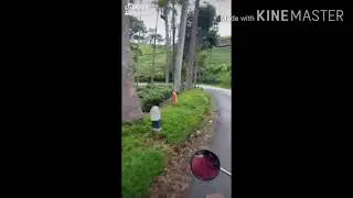 Khusus Anak Orang Dewasa Janga
