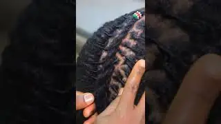 "Master the Fishtail Braid on Dreadlocks in 60 Seconds! #DreadlockStyles"