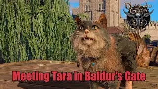 Baldur's Gate 3 - Trading with Tara, the Tressym