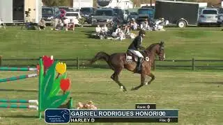 Winning Round: Gabriel Rodrigues Honorio and Harley D