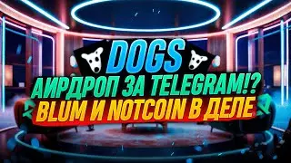 DOGS АИРДРОП ОТ TELEGRAM В 100$ | МЕМ КОТОРЫЙ МОЖЕТ ПОЛУЧИТЬ КАЖДЫЙ | ОБЗОР