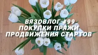 Вязовлог #99 /покупки пряжи /продвижения стартов