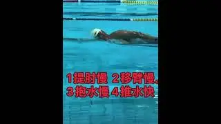 丝滑自由泳手臂