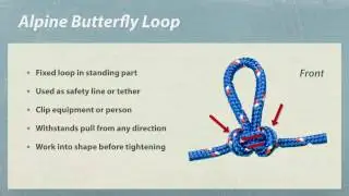 Aline Butterfly Loop