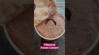 Tillamook Frozen Custard • Mompreneur Life ❤️ Vlog YouTube #Shorts