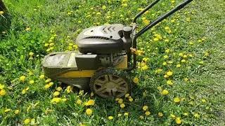 Mowers Kolibr ET-1000V+, Champion LMH5629, Zarya - our irreplaceable assistants