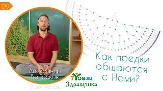 Выпуск 9. Какие сигналы подают наши предки (от 28.01)
