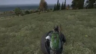 DayZ колесо