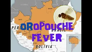 Oropouche fever in Brazil, Bolivia and Peru; CDC issues travel notice
