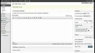 Basic usage of WPML Multilingual Plugin for WordPress