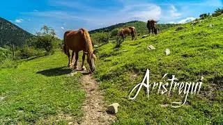 PUEBLOS DE NAVARRA (ARÍSTREGUI)  (Aristregi en euskera)