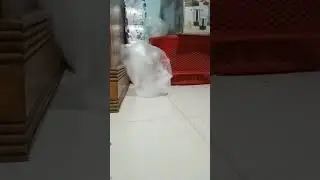 #dance