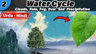 Water cycle Part 2. Evaporation , Condensation , Precipitation , Transpiration , Humidity, Fog