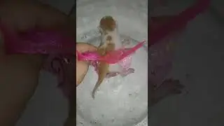 Мурка родила четыре котёнка