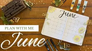 PLAN WITH ME! | June 2023 Bullet Journal Set Up | Sunflower Theme | Easy BuJo