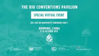 The Rio Conventions Pavilion, Special Virtual Event