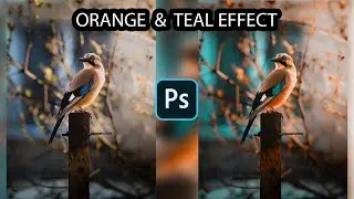 Orange and Teal Effect | Photoshop 2022