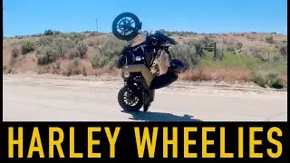 HARLEY STUNT RIDING PRACTICE