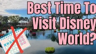 Disney World Crowd Hacks: Mastering the Magic Beyond Seasonal Trends
